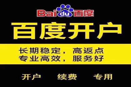 搜索引擎营销（SEM）的竞价策略优化案例